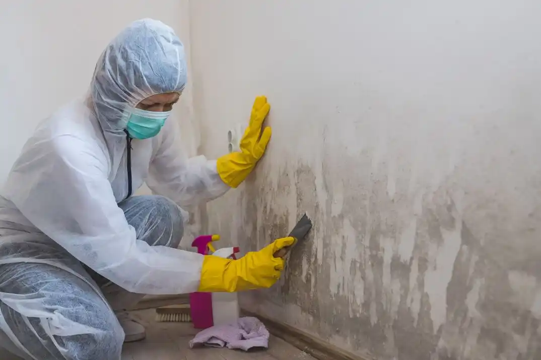 water damage restoration service Eschbach